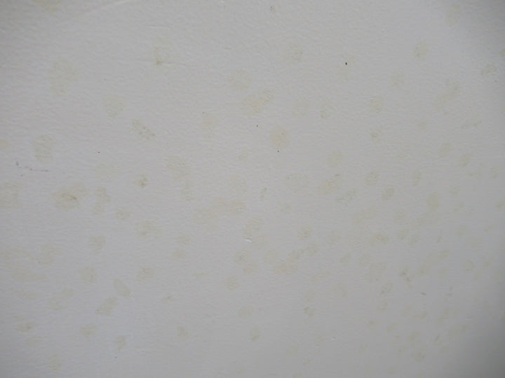 Paint Finished Hollow Core Door 1980H x 810W x 40D
