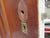 Vertical Stripe 3 Panel Interior Native Timber Door 1980H x 810W x 45D
