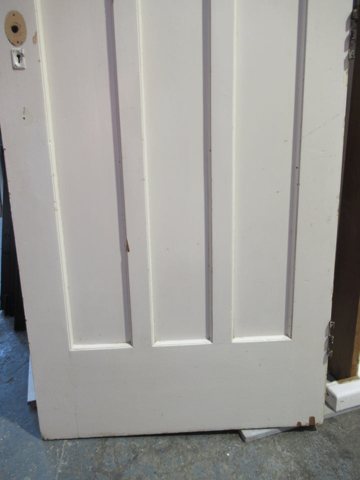 Vertical Stripe 3 Panel Interior Native Timber Door 1980H x 810W x 45D