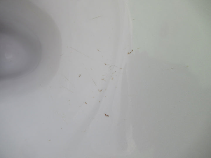 Toto Toilet  (430H x 380W x 630D) and Cistern (410H x 38W x 19D)