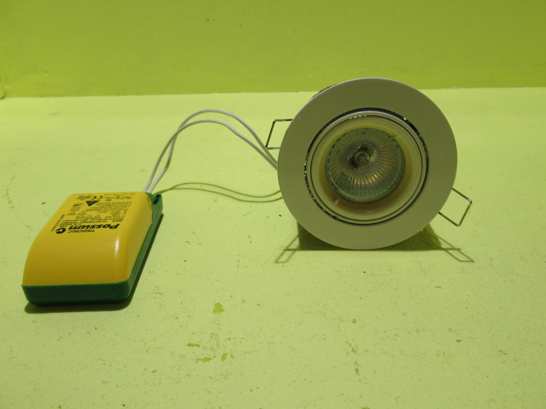 Halogen Light with Possum Driver    90Dia x 80H