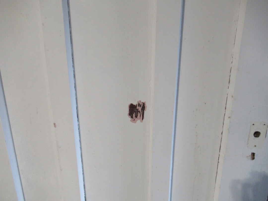 9 Panel Paint Finish Timber Door 1980H x 815W x 45D