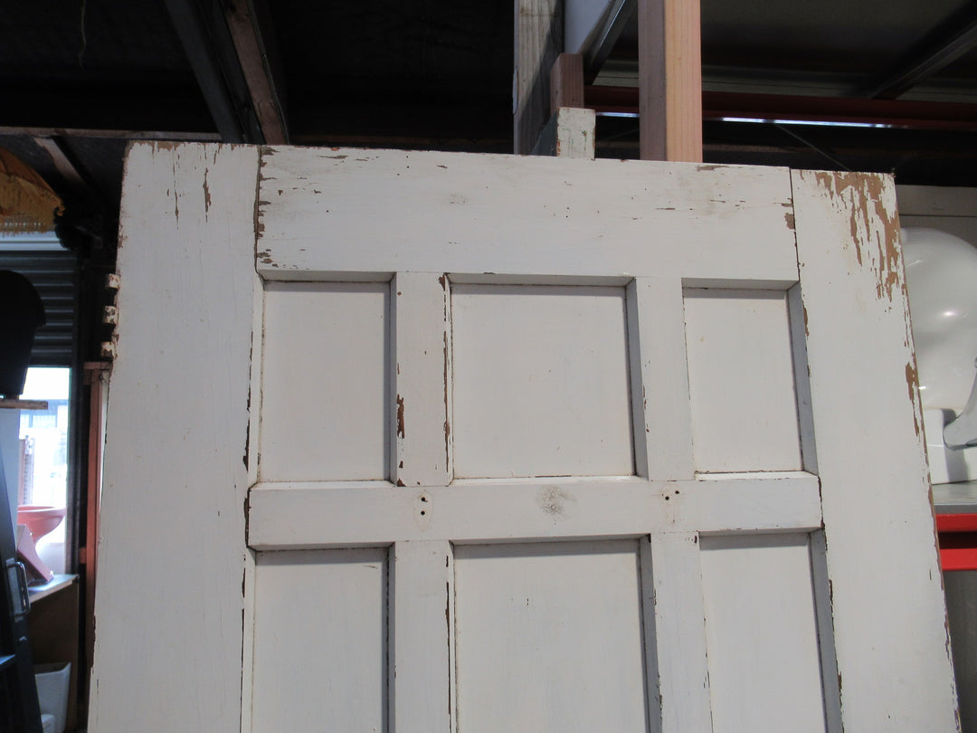 9 Panel Paint Finish Timber Door 1980H x 815W x 45D