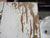 9 Panel Paint Finish Timber Door 1980H x 815W x 45D
