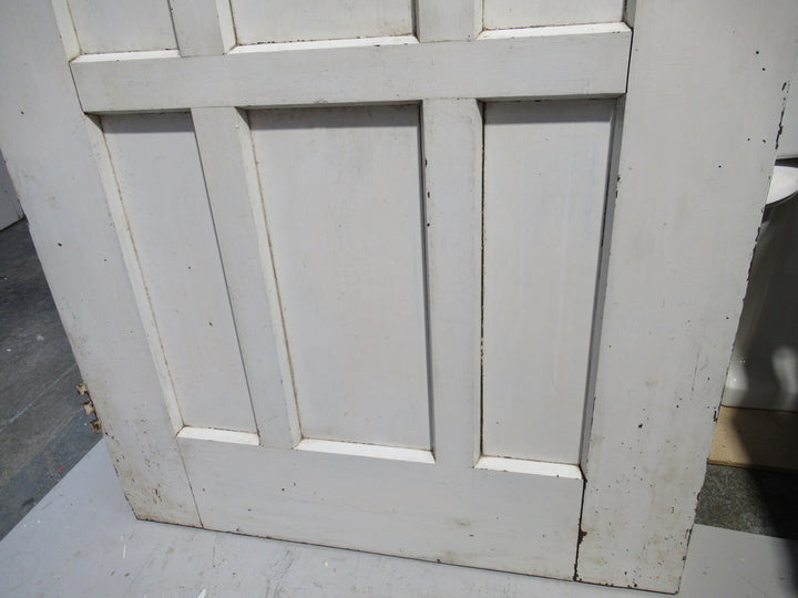 9 Panel Paint Finish Timber Door 1980H x 815W x 45D