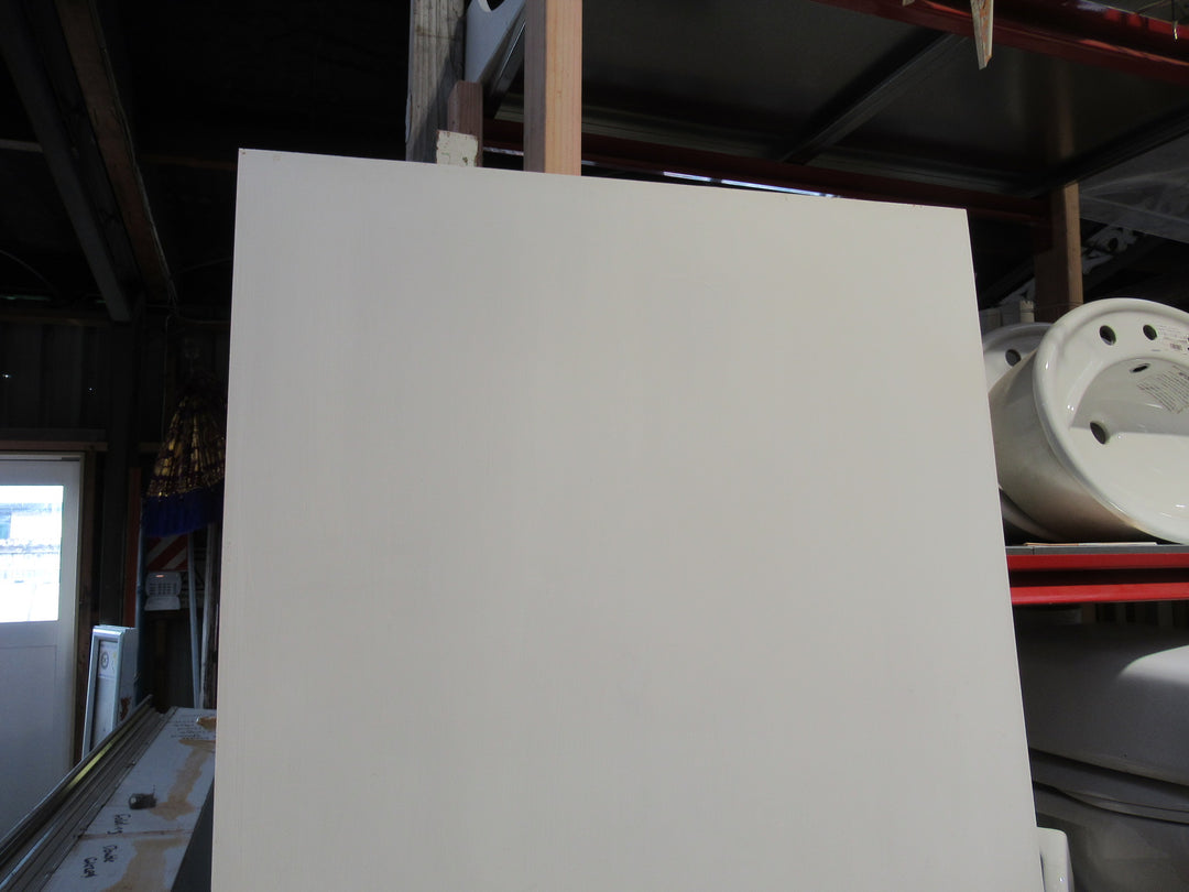 Paint Finished Hollow Core Door 1985H x 805W x 35D