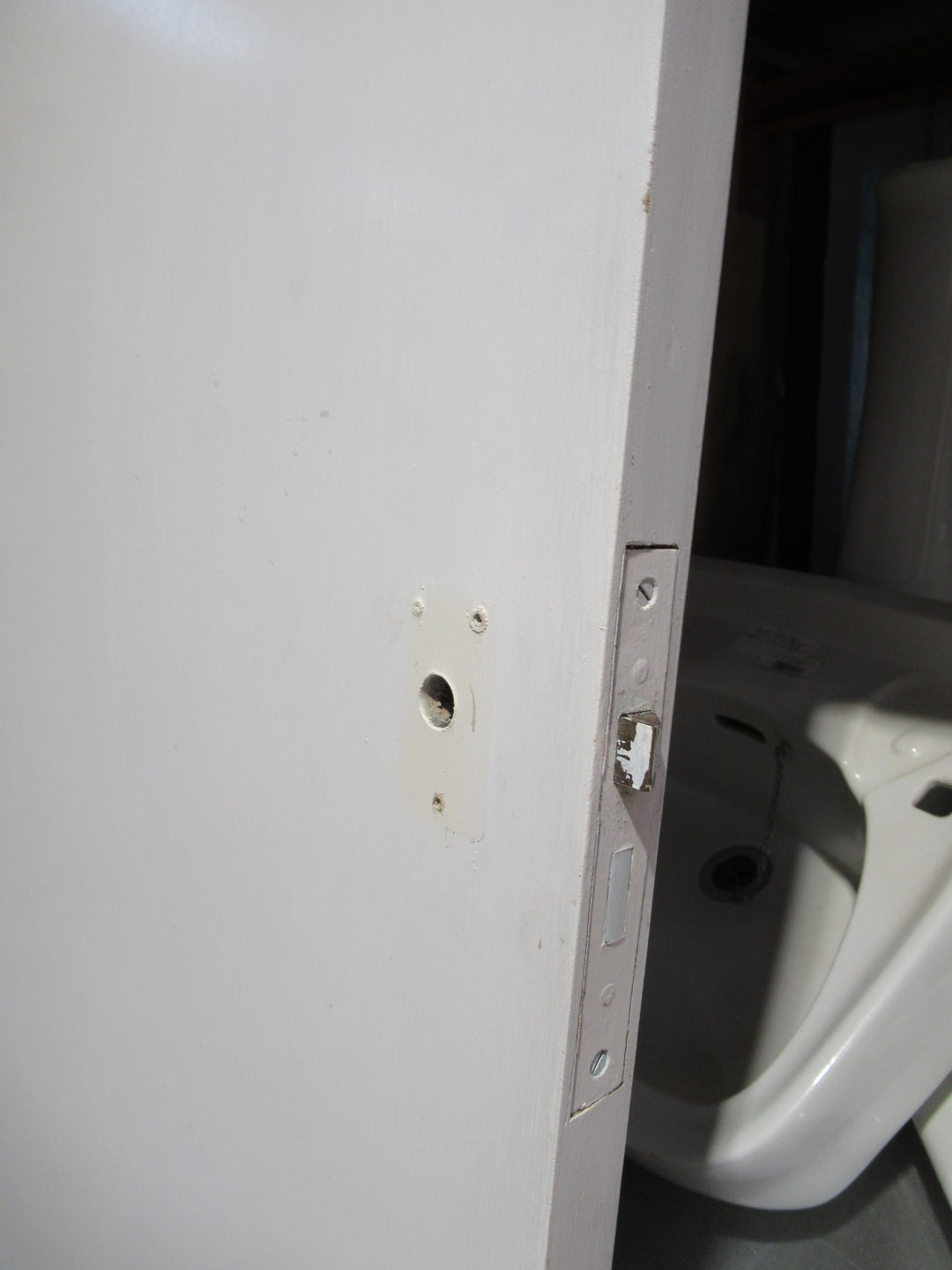 Paint Finish Hollow Core Door 1995H x 813W x 35D