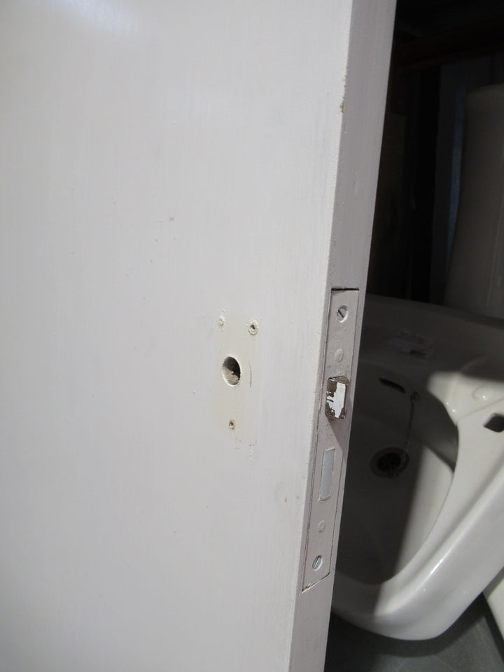 Paint Finish Hollow Core Door 1995H x 813W x 35D