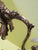 Vintage Oak Leaf 3 Light Brass Pendant Light 460 Dia x 240-470H