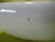 Caroma 1/2 Round Basin 220H x 550W x 440D