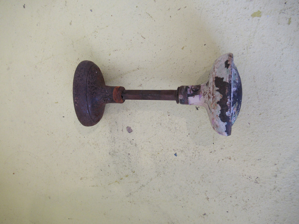 Vintage Bungalow Ridge Oval Knob Handle 68H x 42W x 52D