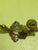 Acorn Leaf with Acorn Knob Coat Hooks 130H x 40W x 100D