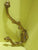 Acorn Leaf with Acorn Knob Coat Hooks 130H x 40W x 100D