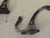 Quaver Double Coat Hook 120H x 30-35W x 80D