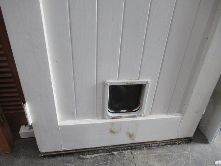 1 Lite T & G Door in Frame with Side Lite Door with Key and Cat Flap 1980H x 810W