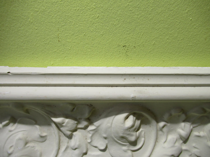Art Deco Oak Leaf Style Plaster Cornice 200H x 50.70mtrs