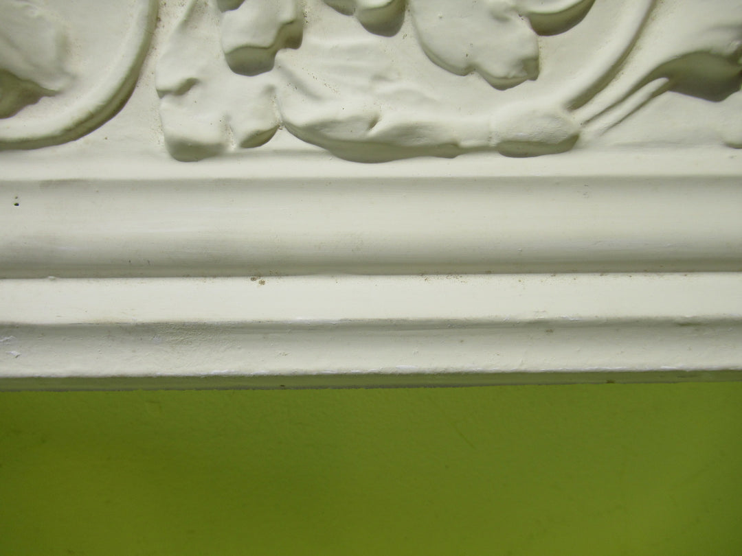 Art Deco Oak Leaf Style Plaster Cornice 200H x 50.70mtrs