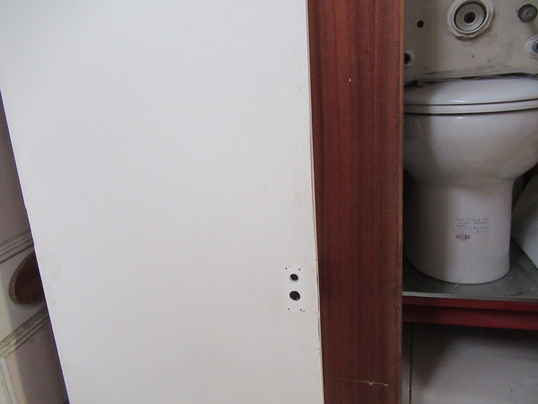 Paint Finish Hollow Core Door 1980H x 660W x 35D