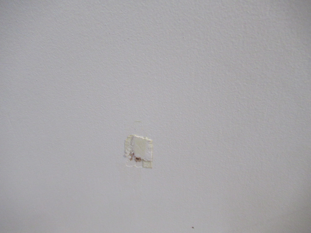 Paint Finish Hollow Core Door 1980H x 660W x 35D