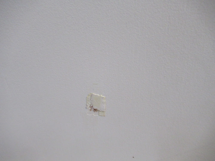 Paint Finish Hollow Core Door 1980H x 660W x 35D