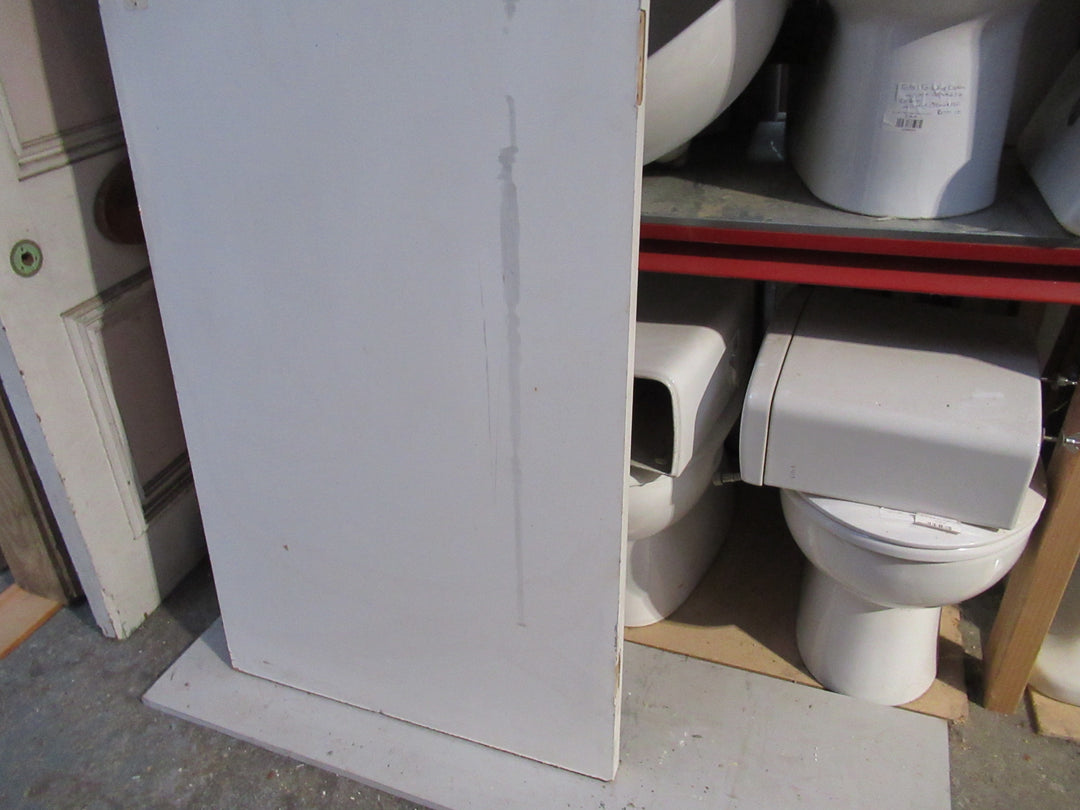 Paint Finish Hollow Core Door 1980H x 710W x 40D