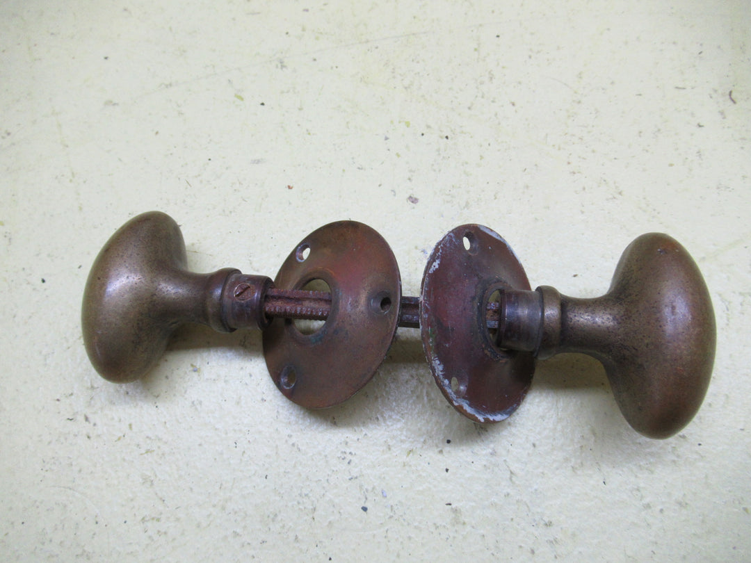 Small  Brass Solid Oval Knob with Rose Plate 55L x 35W x 55H/Plate 60D