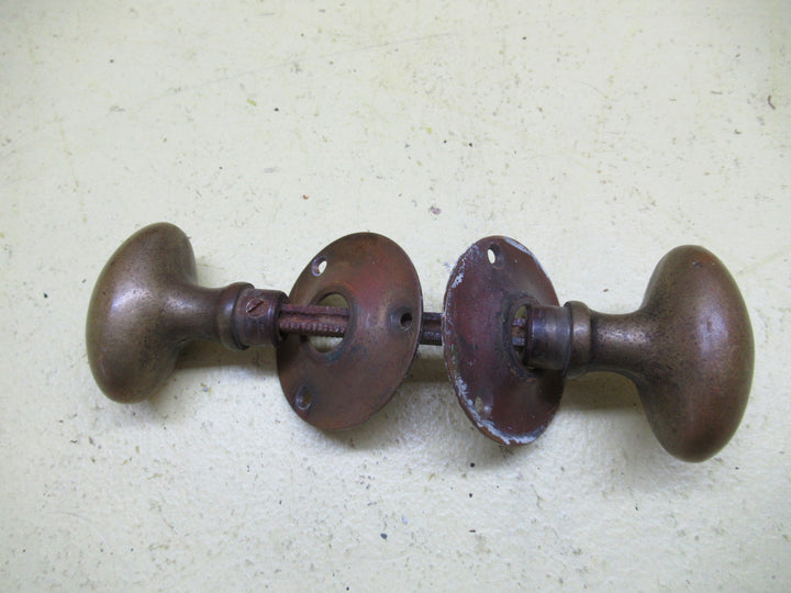 Small  Brass Solid Oval Knob with Rose Plate 55L x 35W x 55H/Plate 60D