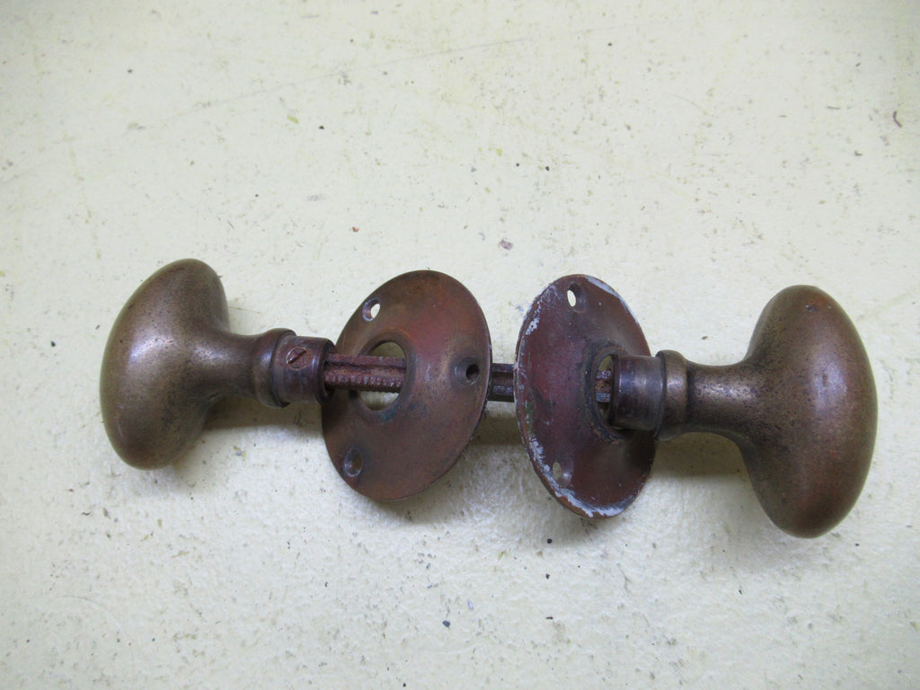 Small  Brass Solid Oval Knob with Rose Plate 55L x 35W x 55H/Plate 60D