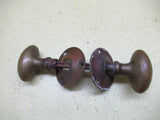 Small  Brass Solid Oval Knob with Rose Plate 55L x 35W x 55H/Plate 60D