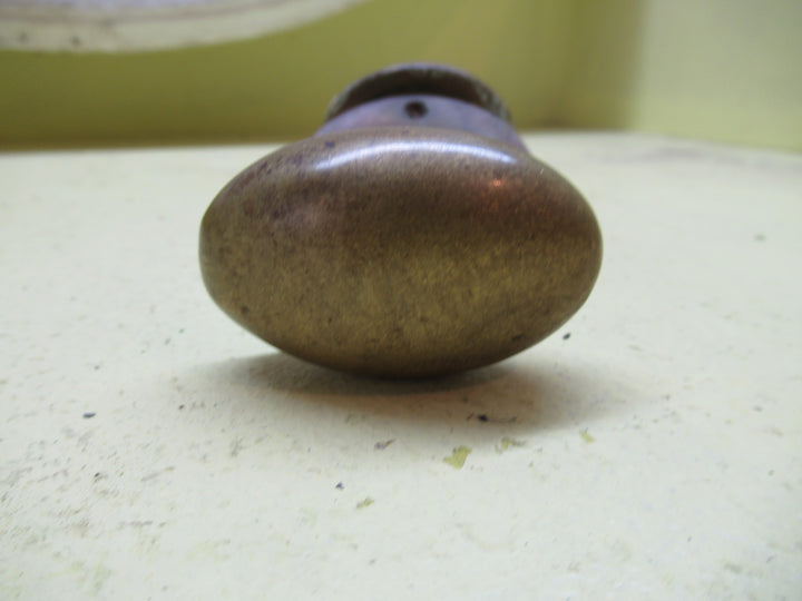 Small  Brass Solid Oval Knob with Rose Plate 55L x 35W x 55H/Plate 60D