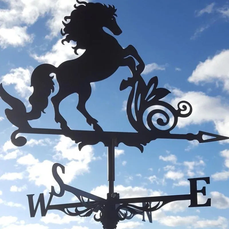 Metal Weathervane,Witch Iron Weather Vane,Sea Rover Wind Direction Indicator,Garden Outdoor Roof Decoration,