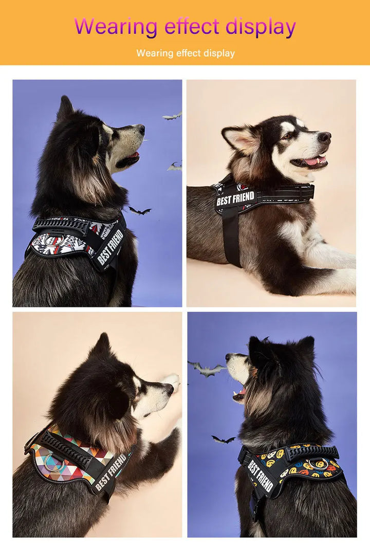 Personalised No Pull Dog Harness with Custom Name and Phone Number Heavy Duty Pet Vest To Prevent Tugging Pulling Choking