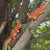 Squirrel Figurine Statues Tree Climber Sculpture Hanging Tree Garden Statue Hugger Decorations Outdoor Gifts Garden Decor Resin