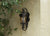 Hot European Outdoor Wall Light IP65 Waterproof Garden Courtyard LED Wall Lamp Sconces Corridor Aisle American Outside Lighting