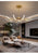 Modern Black Gold Dimming Pendant Light Nordic Creative LED Ceiling Chandeliers