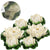 6PCS Lotus Artificial Flower Floating Fake Lotus Plant Lifelike Water Lily Micro Landscape for Pond Garden Decor