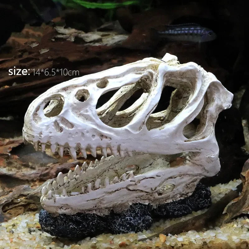 Fossil Statue of Erathia Dragon Elder Skull Fossil Statue for Medieval Dragon Age Fans Game of Thrones Dungeon and Dragon lovers