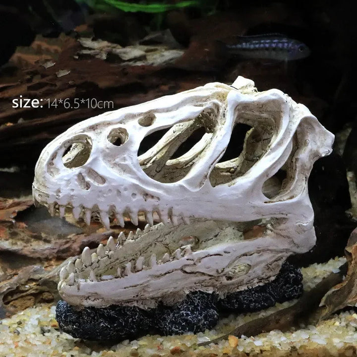 Fossil Statue of Erathia Dragon Elder Skull Fossil Statue for Medieval Dragon Age Fans Game of Thrones Dungeon and Dragon lovers