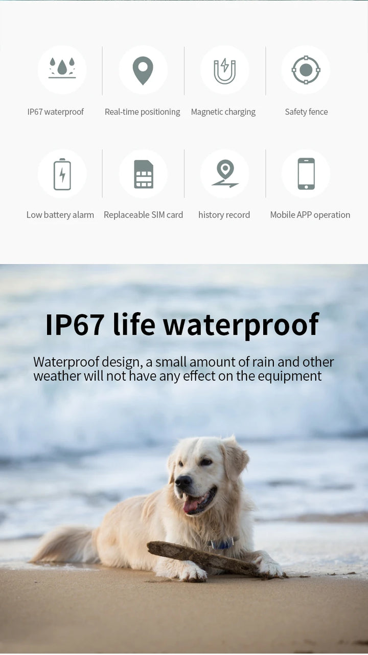 Wifi intelligent remote positioning pet GPS locator Beidou waterproof collar dog cat, cattle, sheep, horse and dog loss device