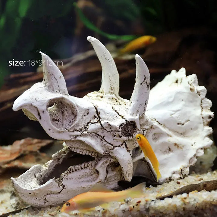 Fossil Statue of Erathia Dragon Elder Skull Fossil Statue for Medieval Dragon Age Fans Game of Thrones Dungeon and Dragon lovers