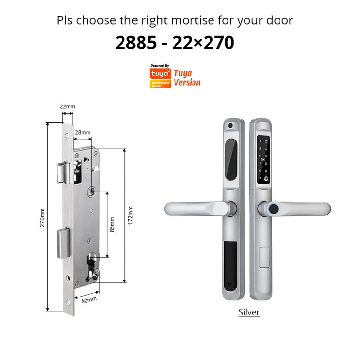 Tuya WiFi App waterproof Smart Door Lock Aluminum Biometric lock fingerprint door handle Digital Keyless lock for Glass Sliding