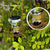 Updated Solar Wine Bottle Lights 2M 20 LED Copper Wire Fairy Garland String Lights 4/8/10 Pack