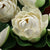 6PCS Lotus Artificial Flower Floating Fake Lotus Plant Lifelike Water Lily Micro Landscape for Pond Garden Decor