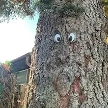 Outdoor Tree Face Statues Old Man Tree Hugger Bark Ghost Face  Funny Yard Art Tree Decor Outdoor Garden