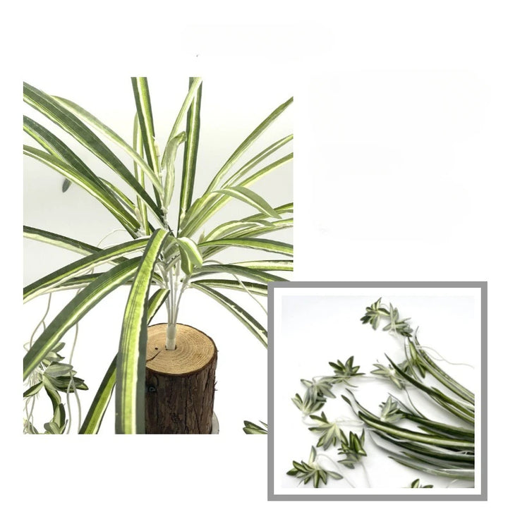 Simulation 5-pronged Phnom Penh Spider Plant Wedding Scene Layout Plant Wall Accessories Bunch Fake Flowers Home Decoration