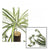 Simulation 5-pronged Phnom Penh Spider Plant Wedding Scene Layout Plant Wall Accessories Bunch Fake Flowers Home Decoration