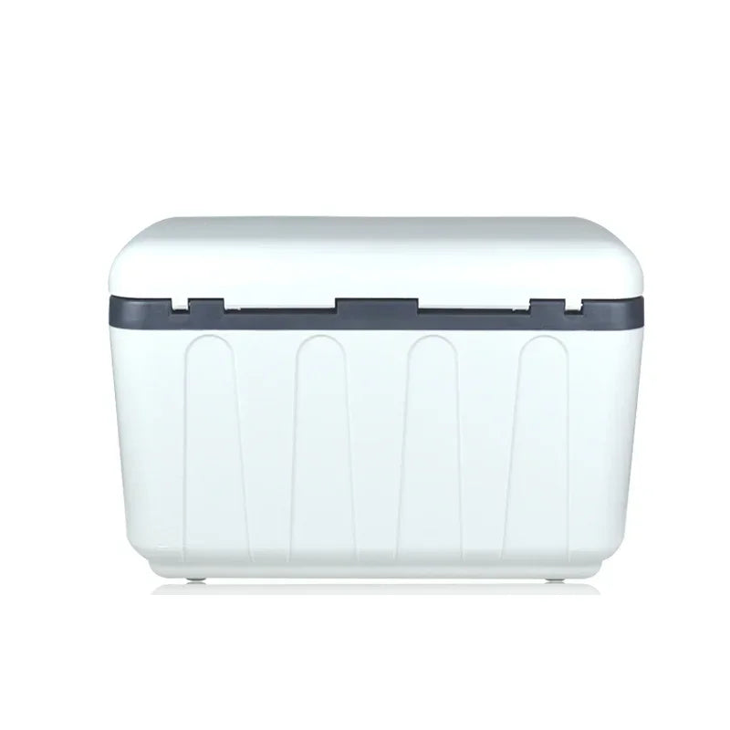 Dual Charging Portable Car Refrigerator, 12V Car 220V Home Mini Fridge with Carry Strap