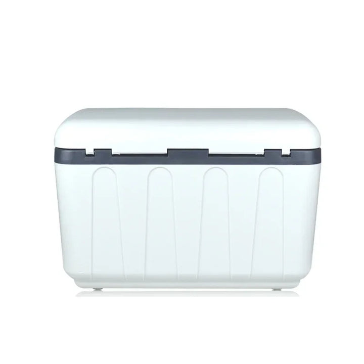 Dual Charging Portable Car Refrigerator, 12V Car 220V Home Mini Fridge with Carry Strap