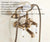 Vintage Retro Antique Brass Double Ceramic Handles Wall Mounted Claw Foot Bathroom Tub Faucet Mixer Tap With Handshower mtf152