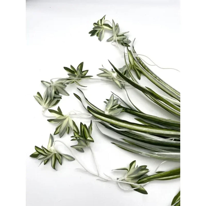 Simulation 5-pronged Phnom Penh Spider Plant Wedding Scene Layout Plant Wall Accessories Bunch Fake Flowers Home Decoration